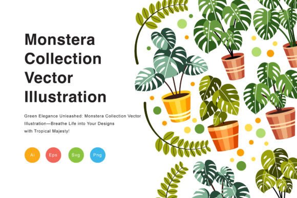 Download Monstera Collection Vector Illustration - Vector Collection